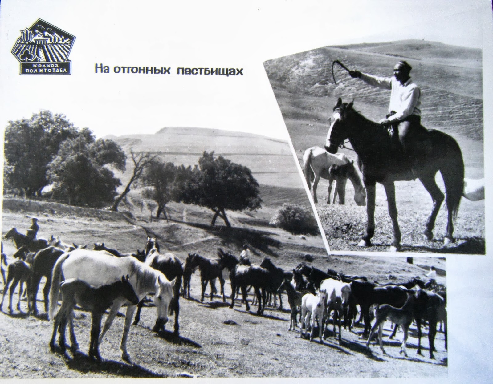 037 - копия