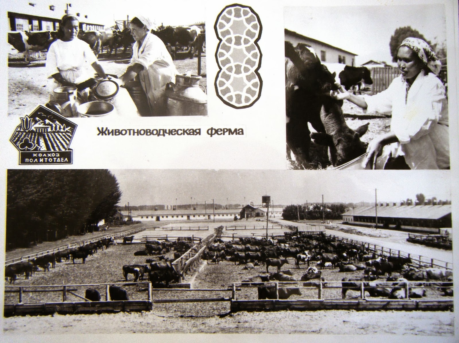 038 - копия