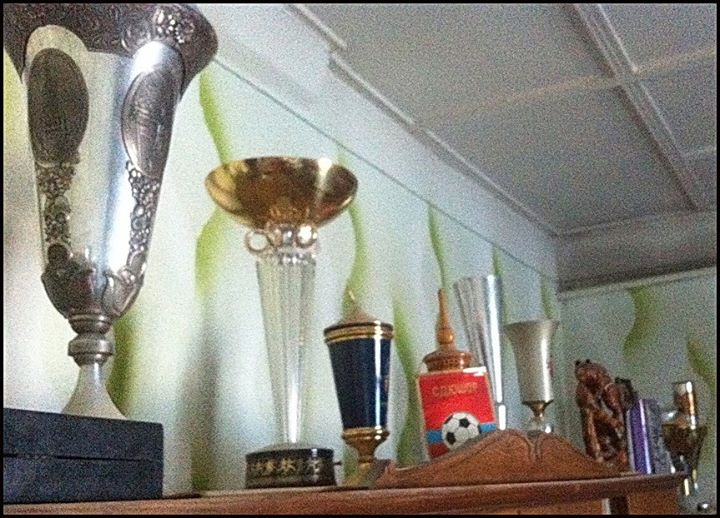 Спортивные достижения А.С.Лян.