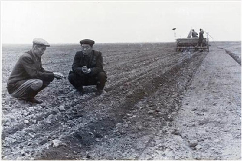 Здесь уже возмужалый председатель колхоза, Герой Труда на пашне. 1953 г. Из фотоальбома "Трудовые победы к-за им. Свердлова (Синенгоу)", опубликованные на страницах сообщества.