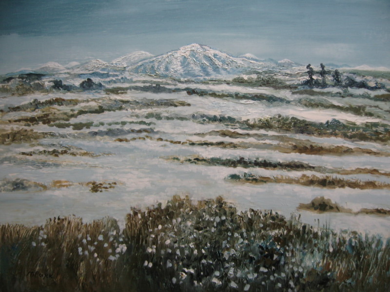 о.Чечжудо (х.м. 60х50, 2010)