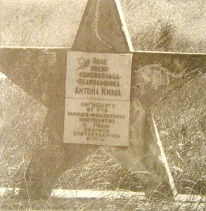 Поле им. комсомольца Антона Кима. п. Раздольное, Крым