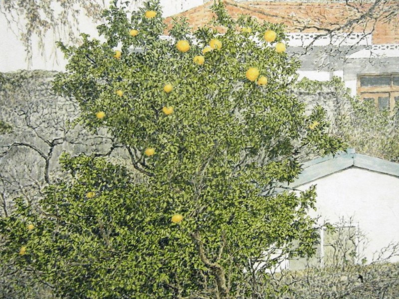 DSCF6750