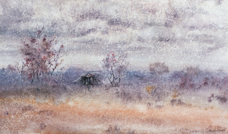 хр17 -006