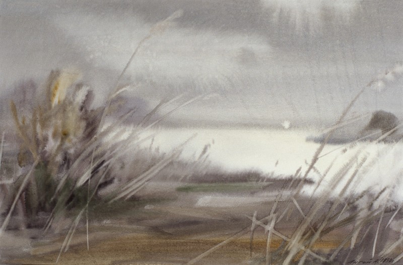 шo (51)