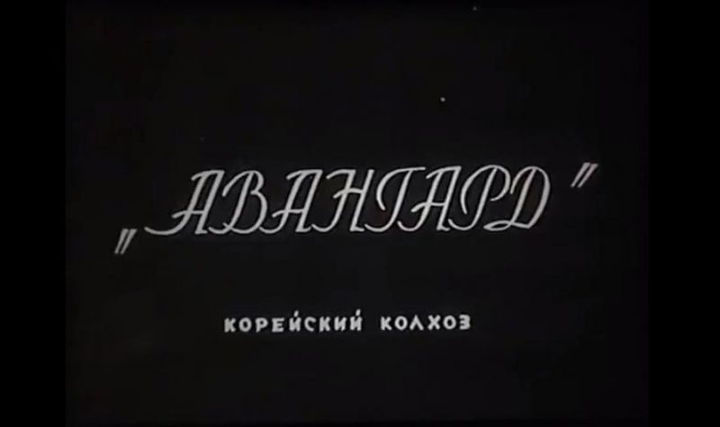 Авангард 00001