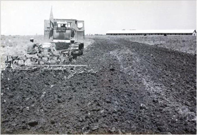 Trudovye-pobedy4-800x551