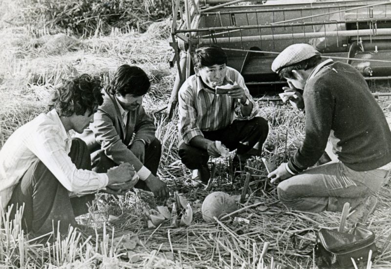 Перекус у кромки рисового поля (1982 год)
