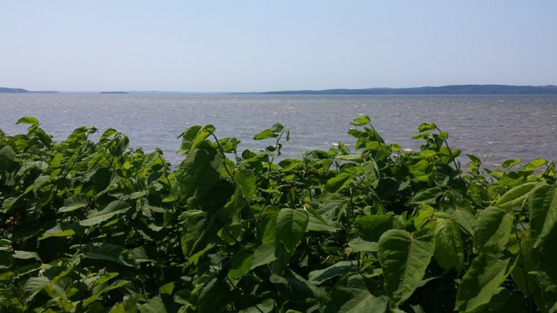 По дороге на море встретили несколько озер